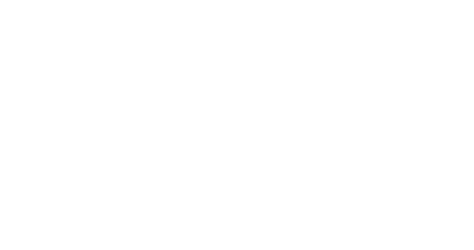 la rochere website logo 594425ba