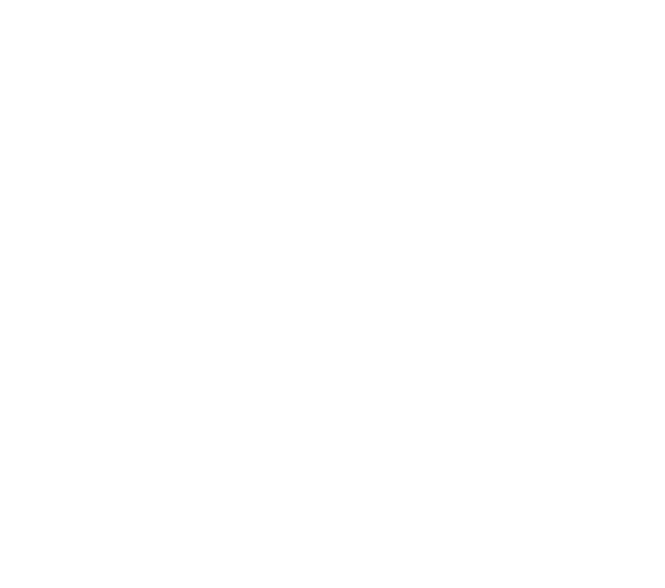 banholzer revol logo 960x850 1 9e61cd2e