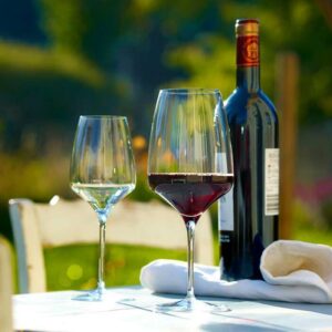 STOLZLE - EXPERIENCE calici vino resistenti professionali di qualità